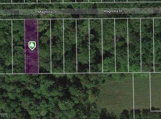 V/L Magnolia #21 Drive - Photo 1