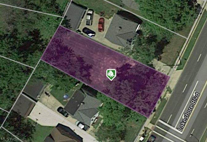 29813 Lakeshore Boulevard - Photo 1