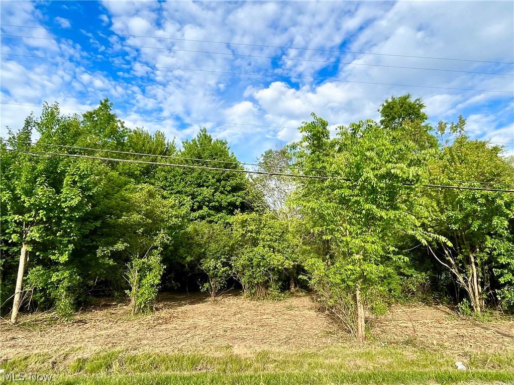 S/L 41 E Medina Line Road - Photo 1