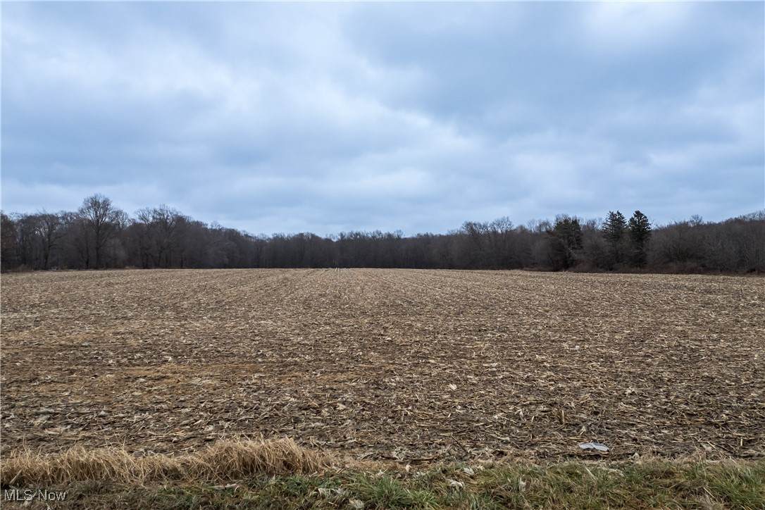 Lot 2 New Milford (5.33 Ac) - Photo 1