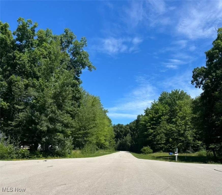 V/L #15 Kimpton Trail - Photo 1