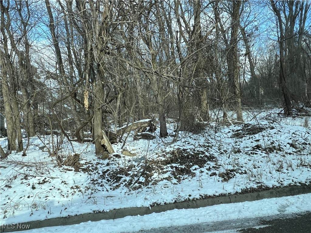  Harding Street - Photo 1