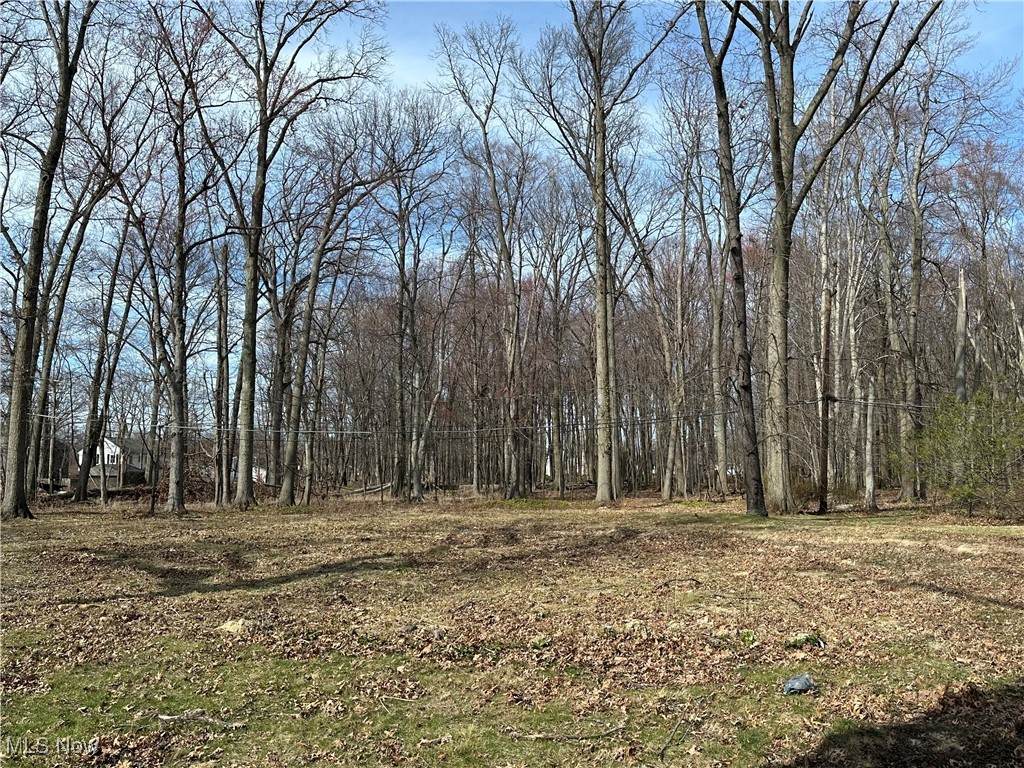 S/L 2 Redwood Boulevard - Photo 1