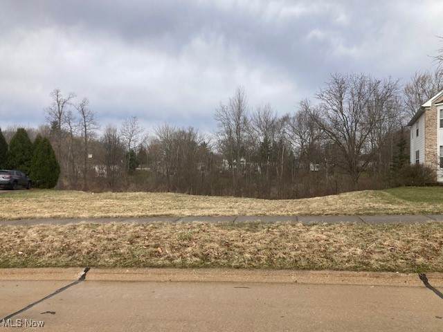 180 Beaumont Trail - Photo 1