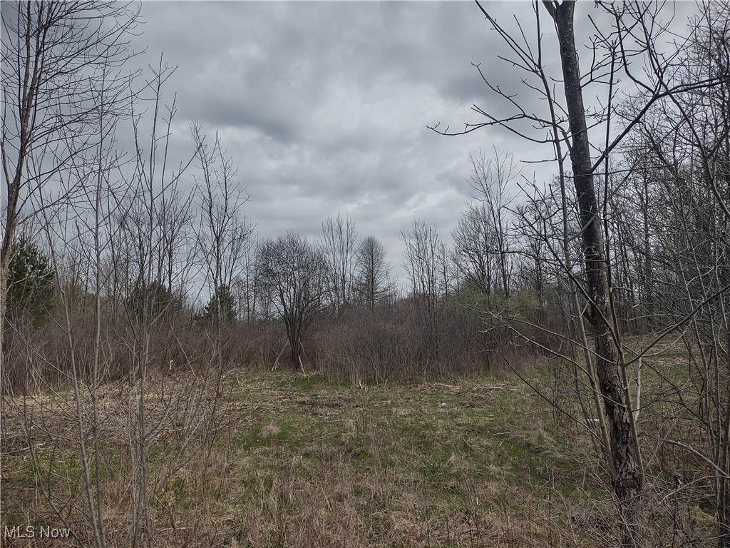 17222 Reynolds Road - Photo 1