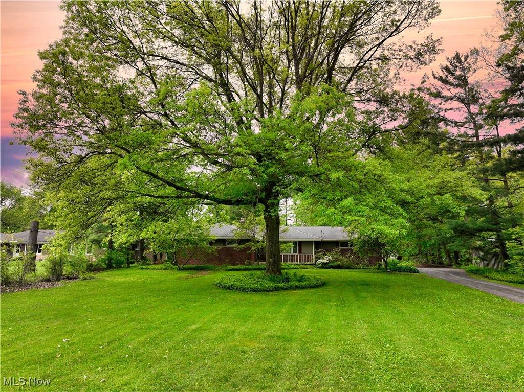 8265 Merrie Lane - Photo 1