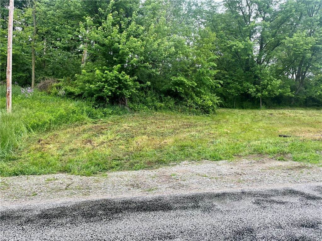 10280 Morges Drive - Photo 1