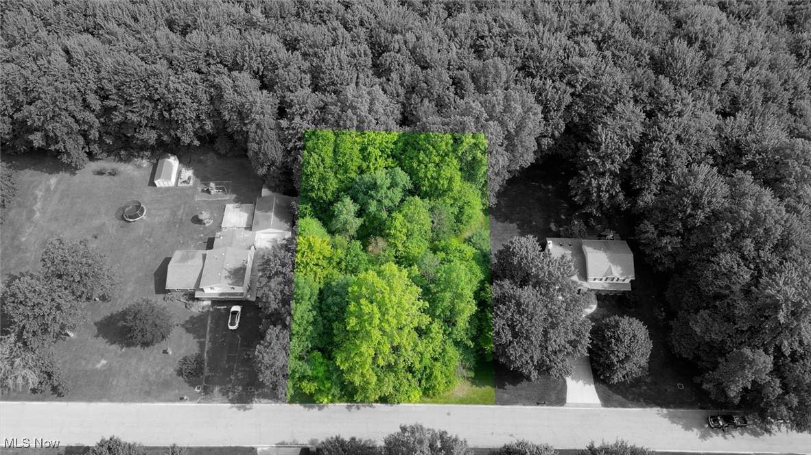 1672 Rustic Run Road - Photo 1