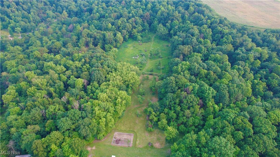 Dundee Strasburg Road - Photo 1