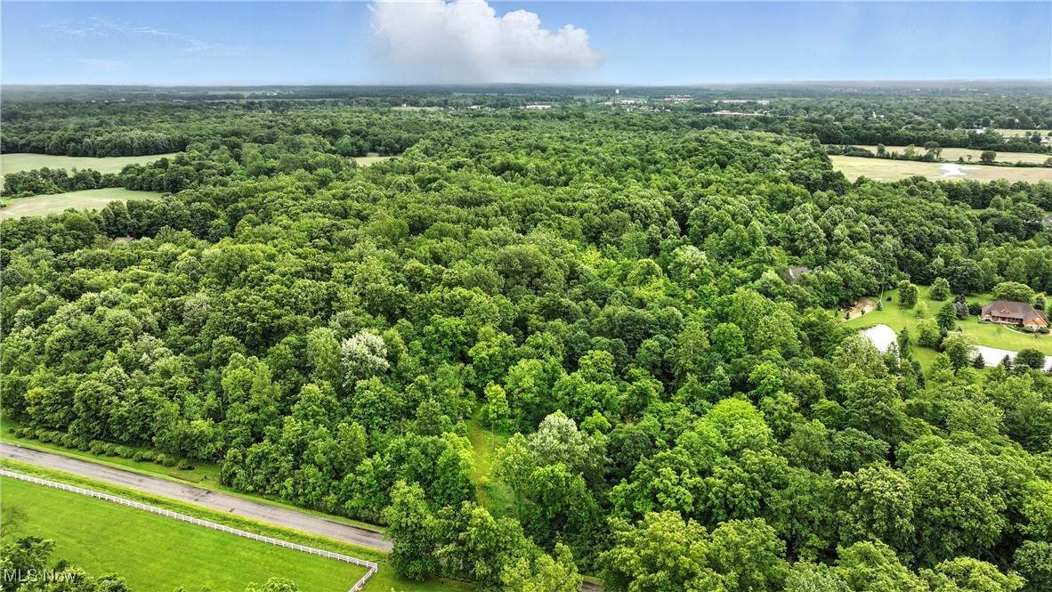 21251 Pitts Road - Photo 1