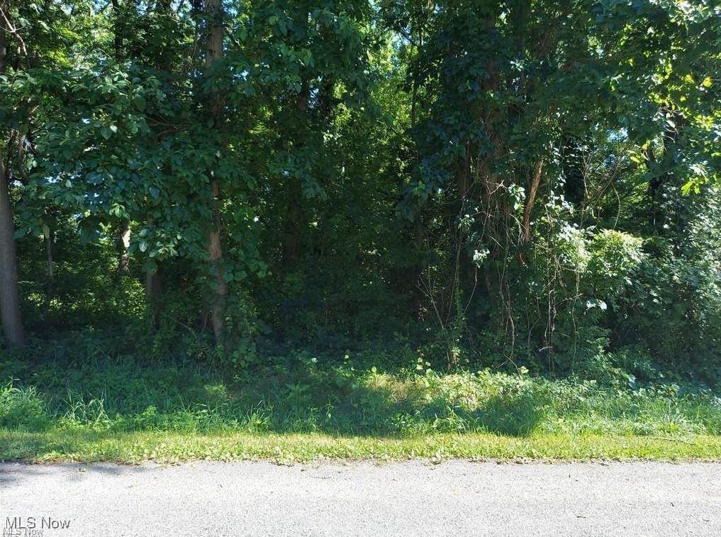 Recreation Drive - Photo 1