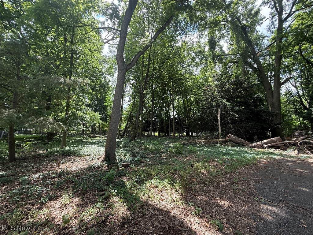 11928 Lake Shore Boulevard - Photo 1