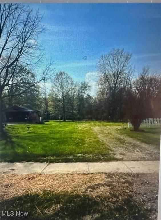  Raccoon Road - Photo 1