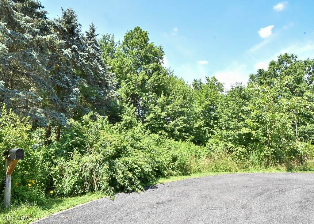 V/L Eddy Court - Photo 1