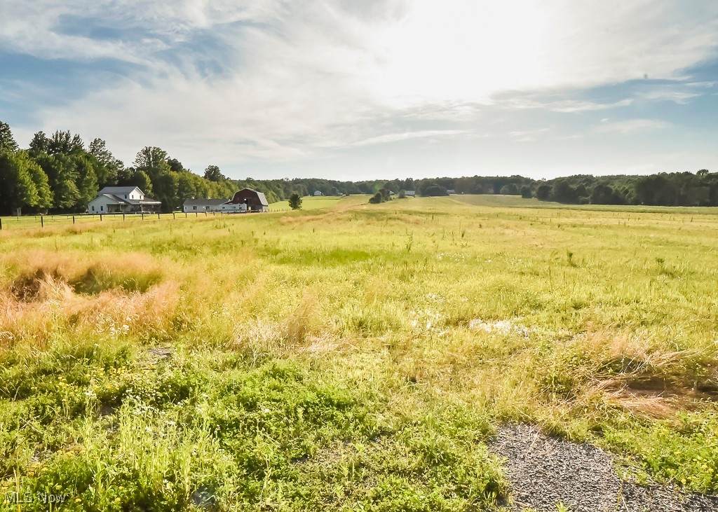 V/L Windsor Mechanicsville Road - Photo 1