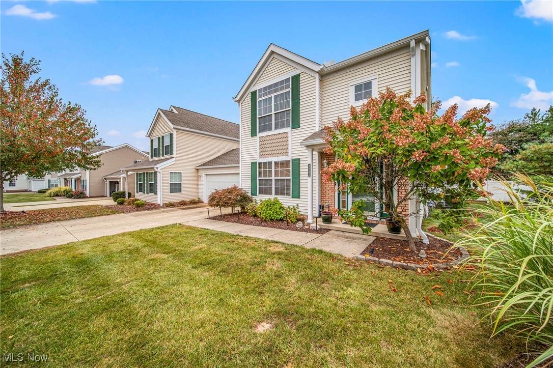 8542 Mandell Drive - Photo 1