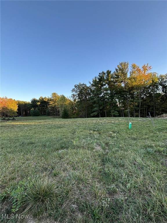 8801 Glen Hallow Drive - Photo 1