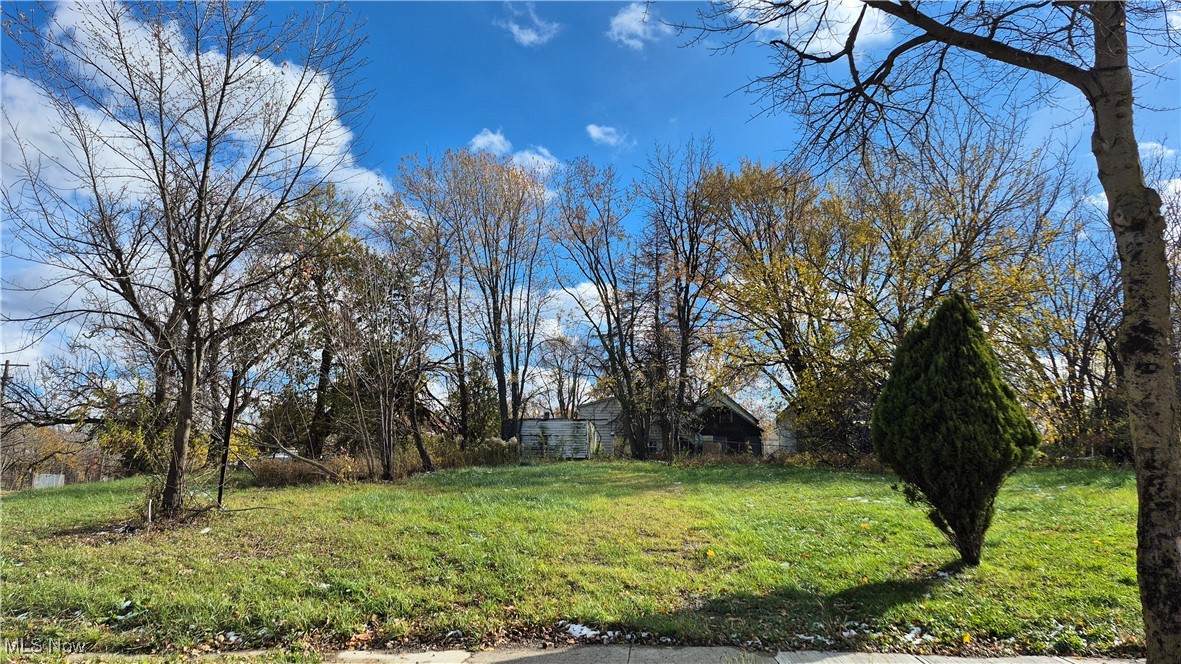 5728 Hamlet Avenue - Photo 1