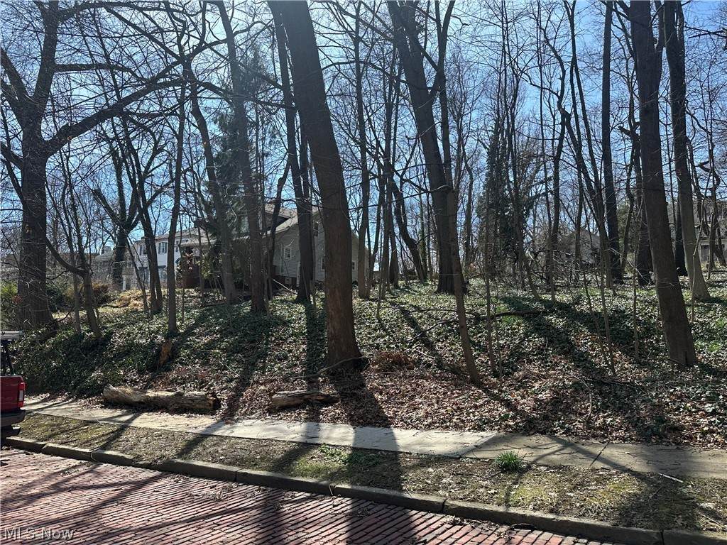Plot A Weber Avenue - Photo 1