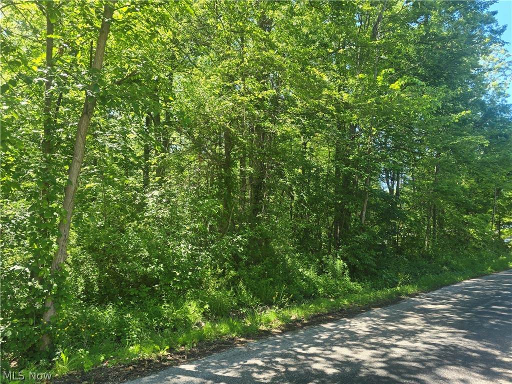  Shadyside Avenue - Photo 1