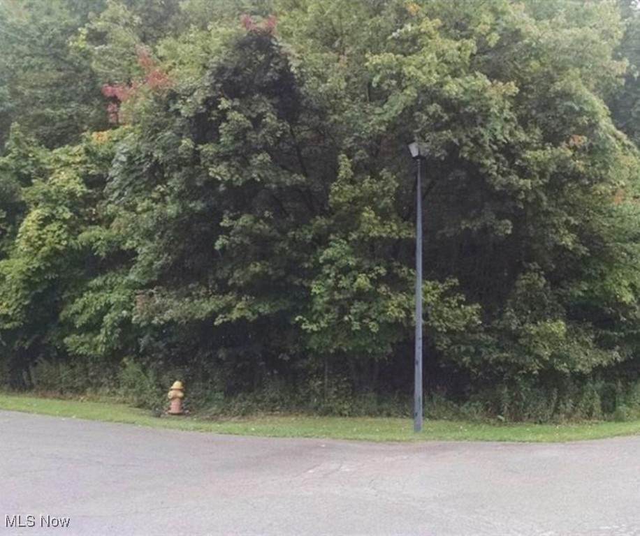  Saint Andrews - Photo 1