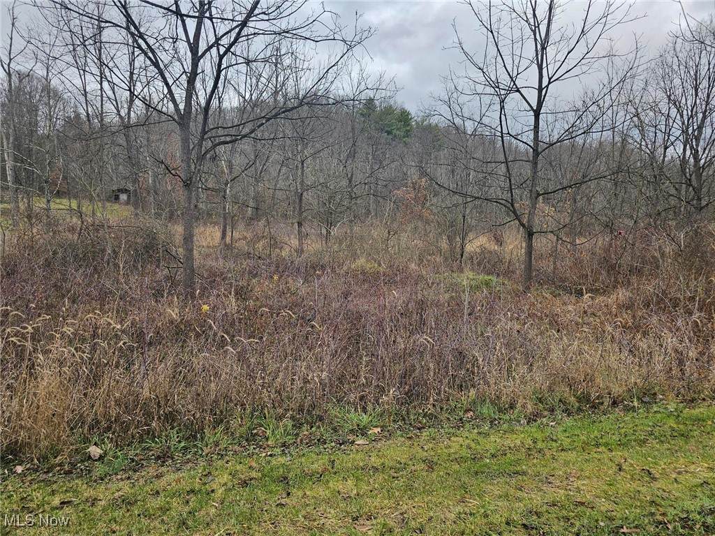 Cr 46 - Photo 1