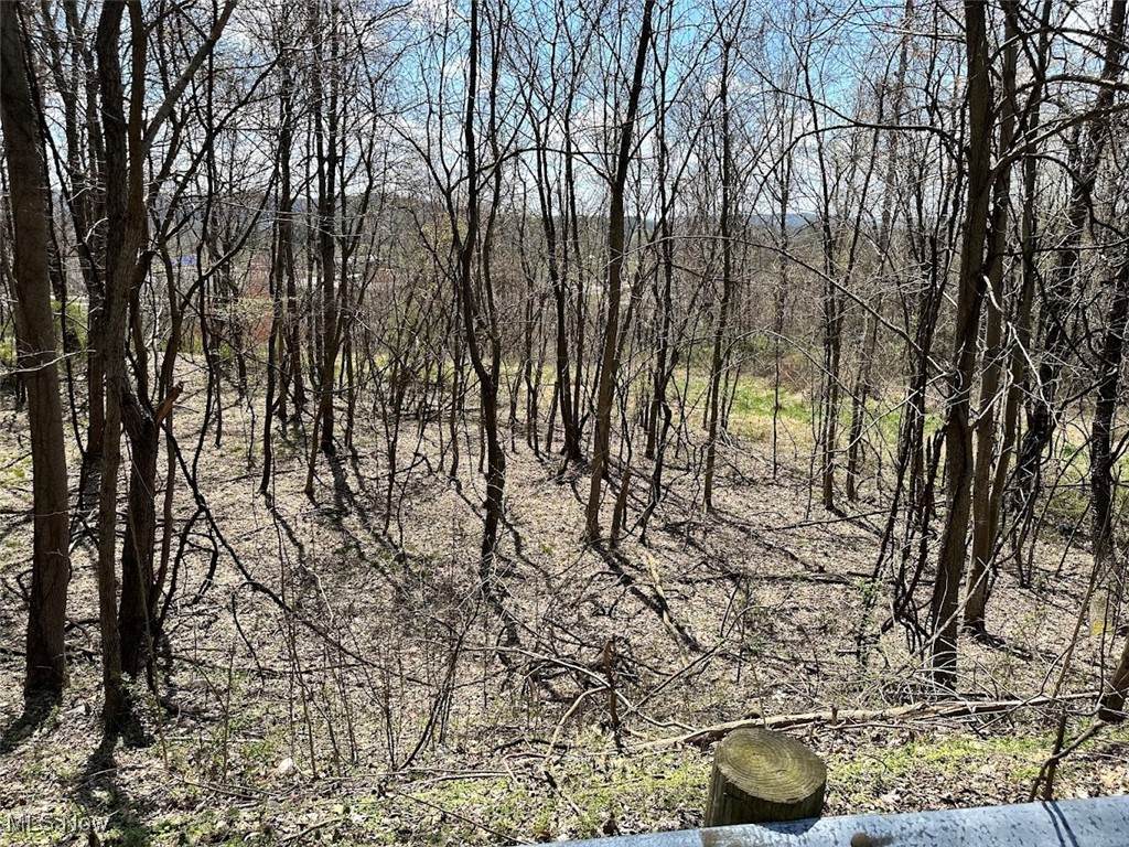 5637 Gundy Drive - Photo 1