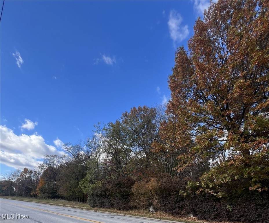 26814 Center Ridge Road - Photo 1