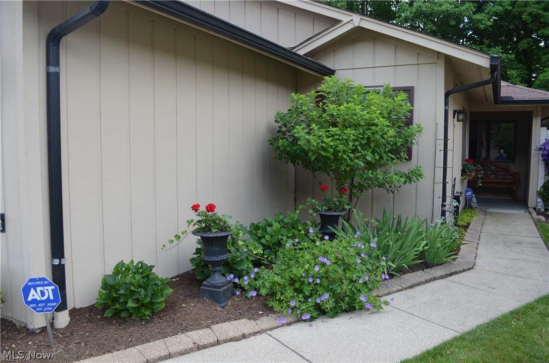 11216 Blodgett Creek Trail - Photo 1