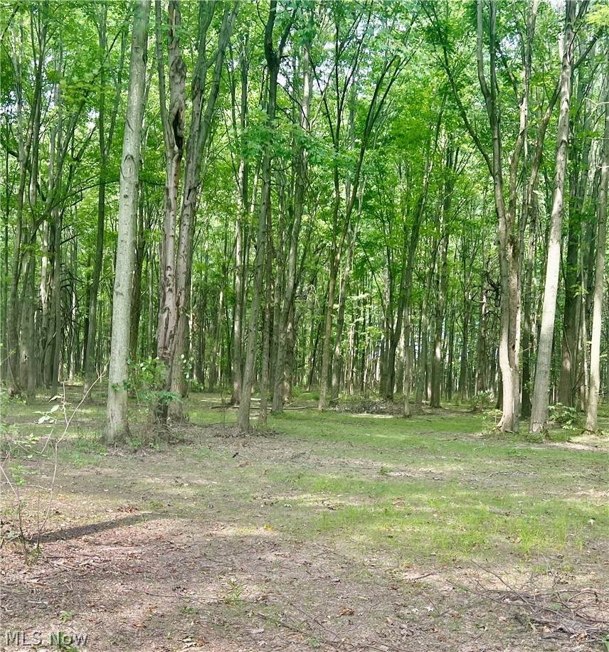 Lot 10 Course View Circle - Photo 1