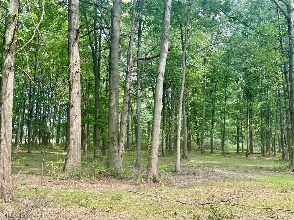 Lot 1 Course View Circle - Photo 1