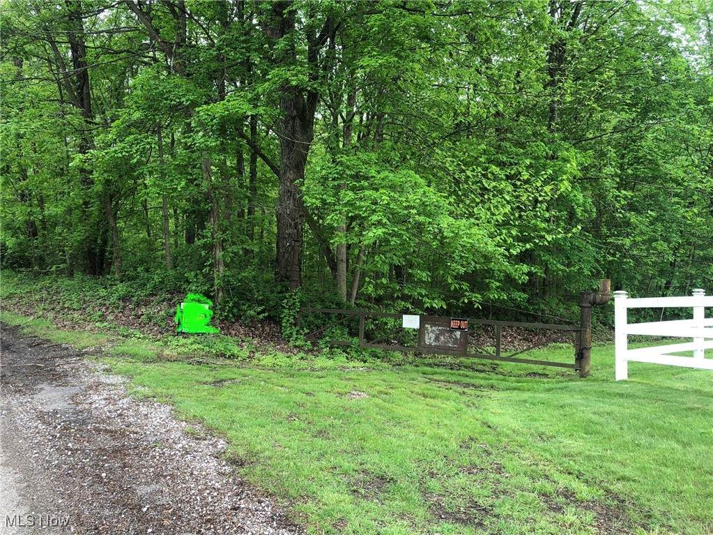Buckeye Hollow Road - Photo 1