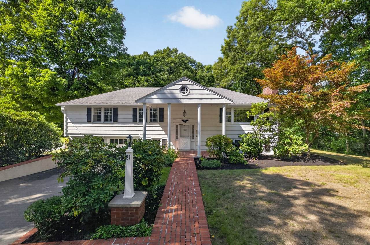 81 Alder Rd - Photo 1