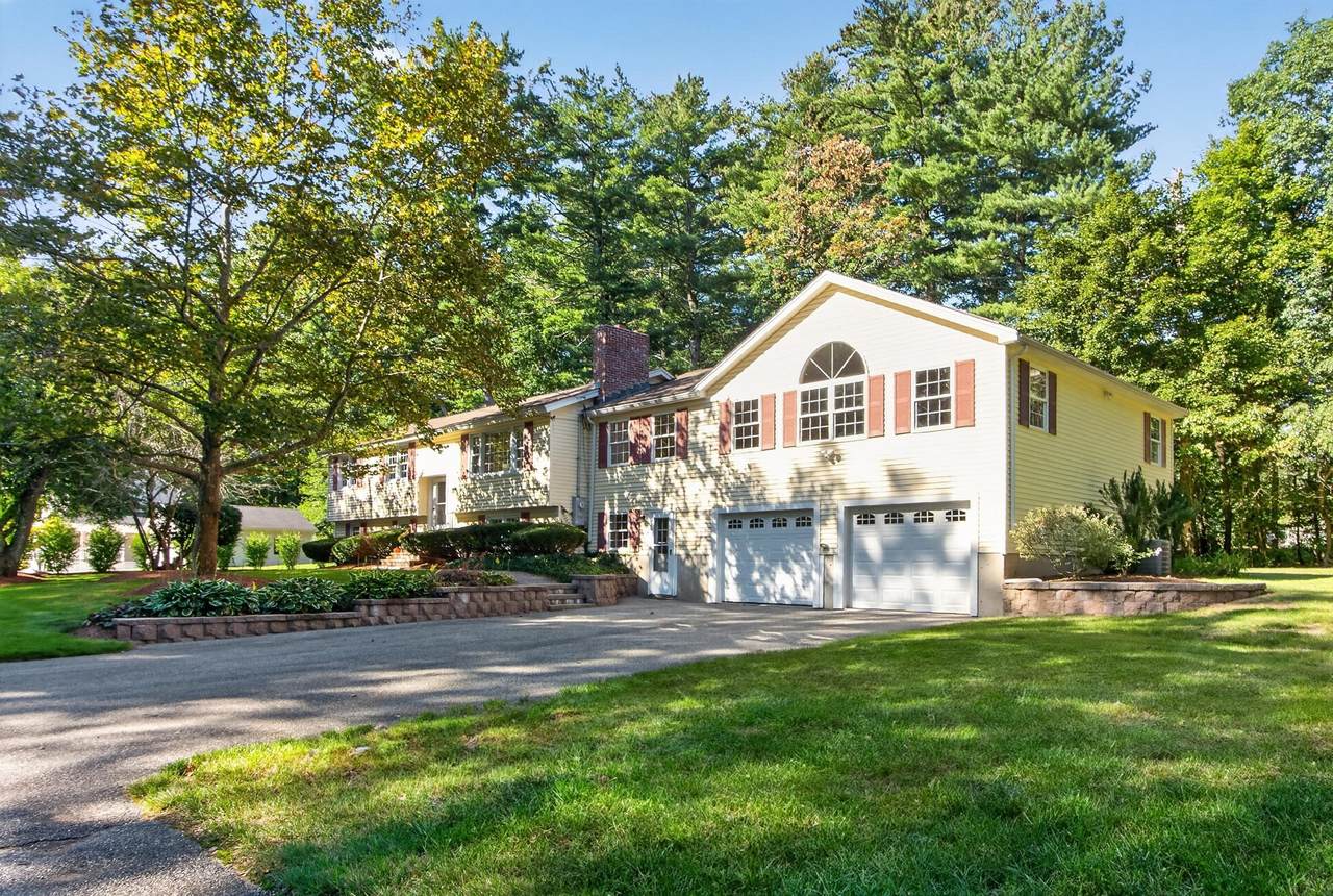 41 Buckingham Drive - Photo 1