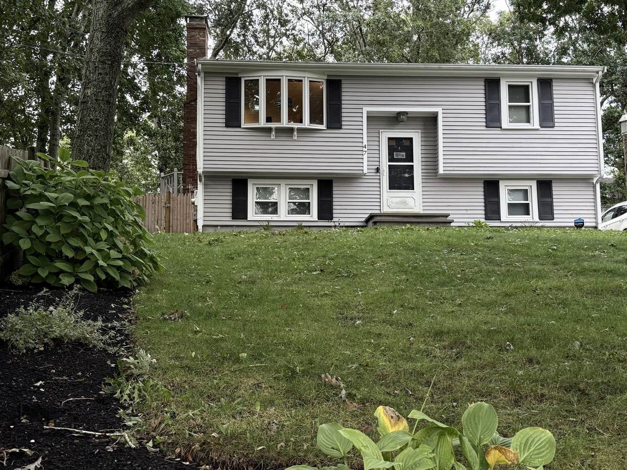 47 Ellisville Dr - Photo 1