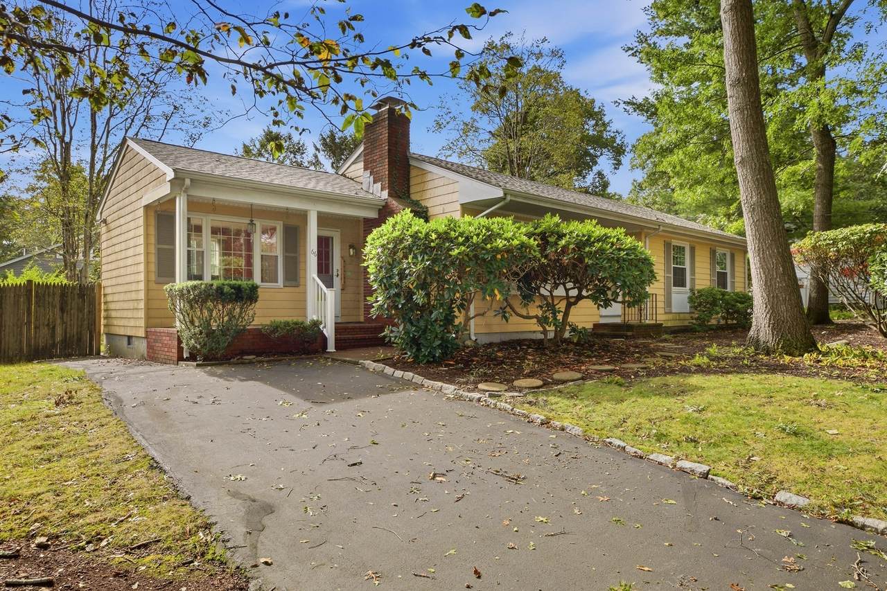 66 Eleanor St - Photo 1