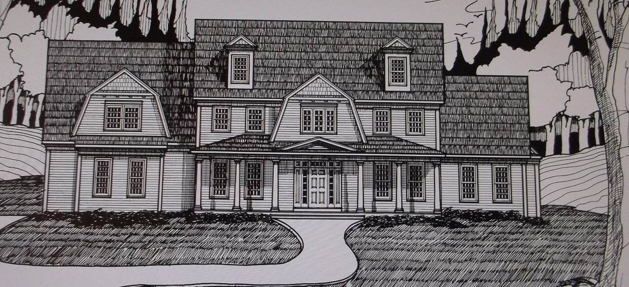 Lot 1 Beeton Path - Photo 1