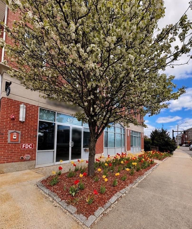 441 Washington St - Photo 1