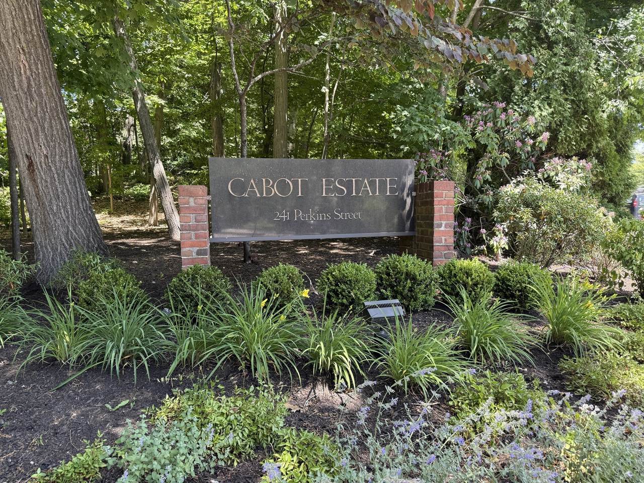 241 Perkins - Photo 1