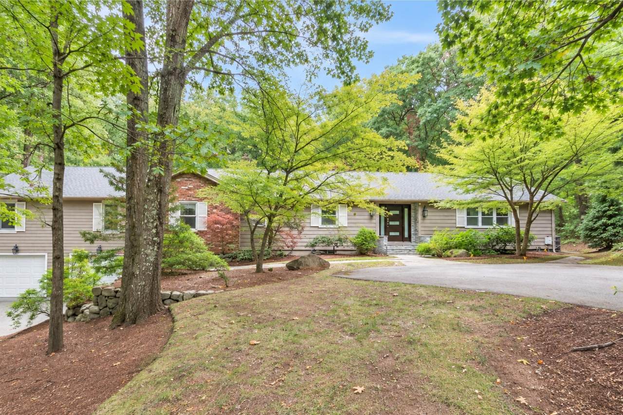 20 Blueberry Hill Road - Photo 1