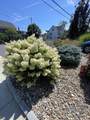 142 Pleasant Street - Photo 2