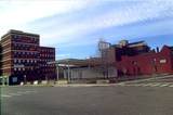 630 Dwight Street - Photo 2