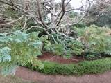 17 Edgartown Bay Rd Ed328 - Photo 31