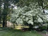 115 Sargent St - Photo 38