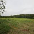 978 Sodom Rd - Photo 1