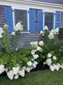 20 Cato Lane - Photo 2