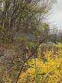 150 Athol Rd - Photo 5