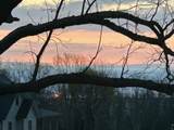 219 High Rd - Photo 42