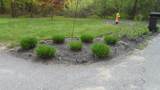55 Cedar Road - Photo 2
