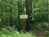 91 Woodlot Road - Photo 40